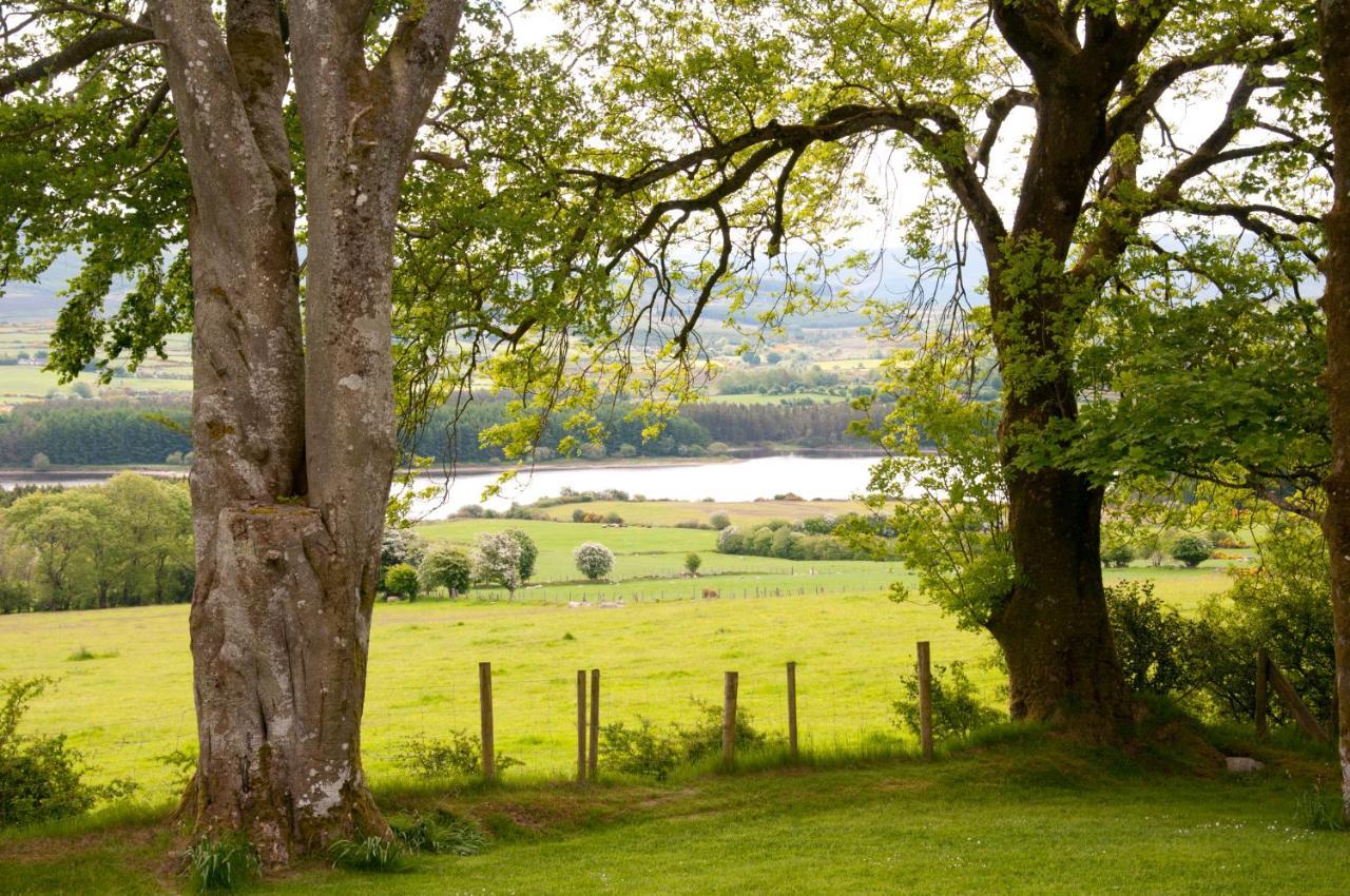 Abhainn Ri Cottages Blessington Exteriér fotografie