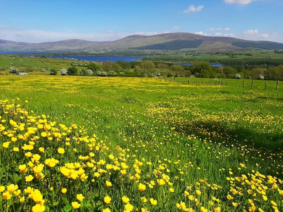 Abhainn Ri Cottages Blessington Exteriér fotografie